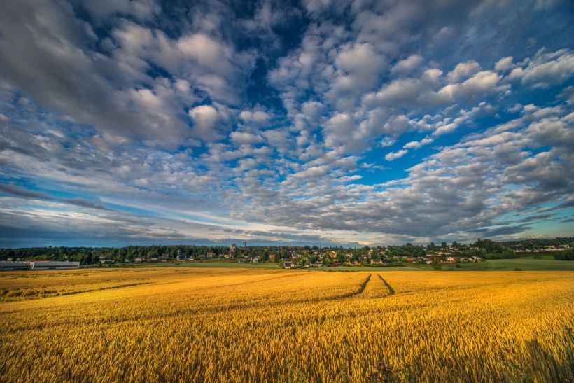 begravelsesbyrå Askim